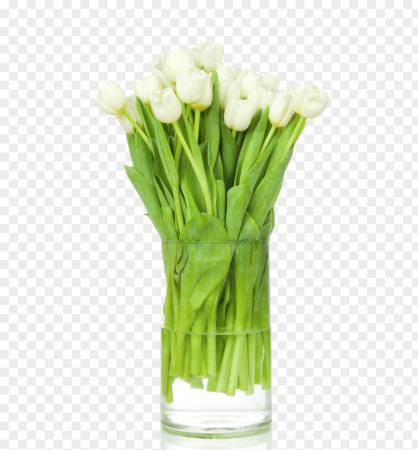 Tulip Flower Bouquet Nosegay White PNG