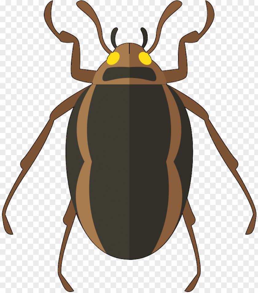 Vector Graphics Cockroach Image Clip Art Beetle PNG