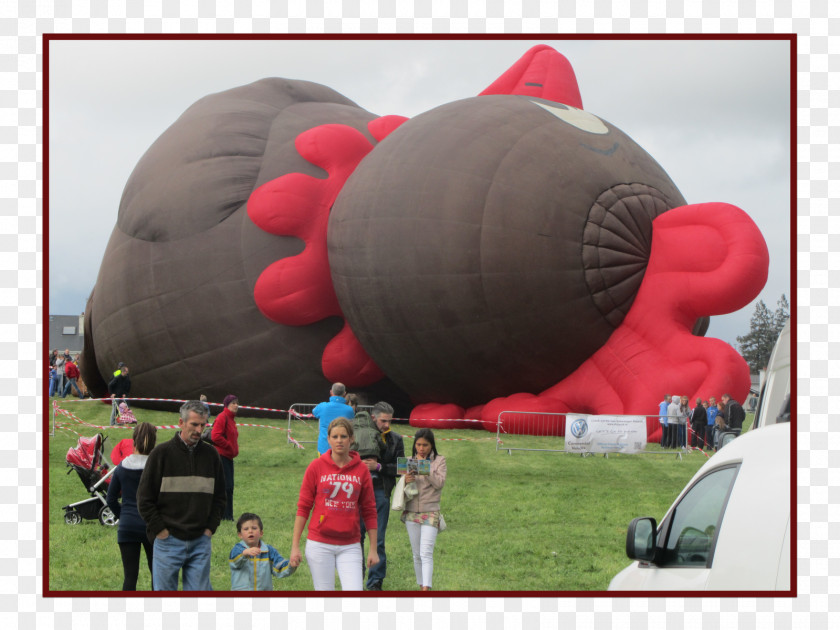 Balloon Hot Air Inflatable PNG