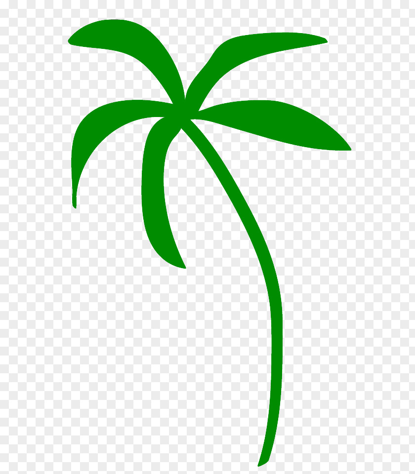 Coconut Arecaceae Cream Green Clip Art PNG