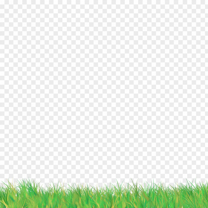 Green Grass Grassland Lawn Natural Environment PNG