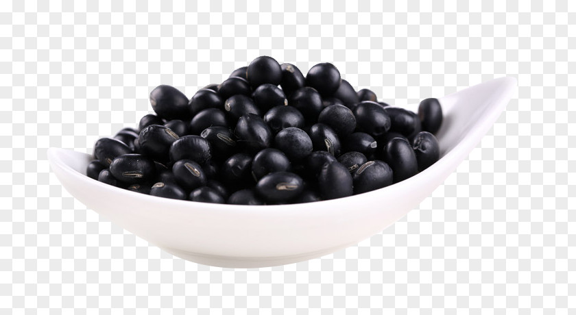 Northeast Characteristics Of Black Beans Material Turtle Bean PNG