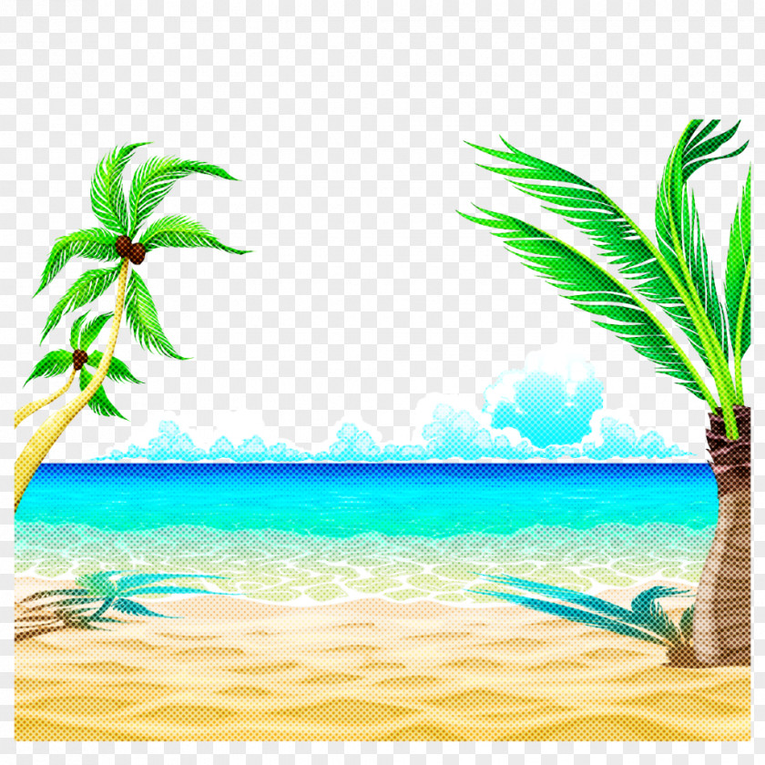 Palm Tree PNG