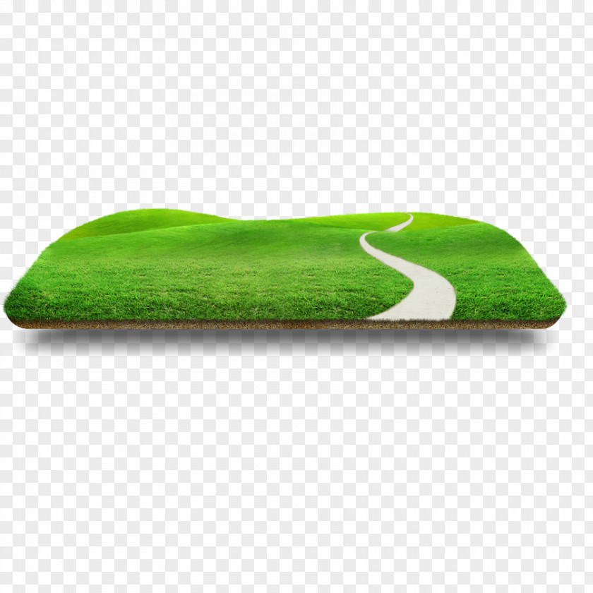 Vector Grass Effect Rendering PNG