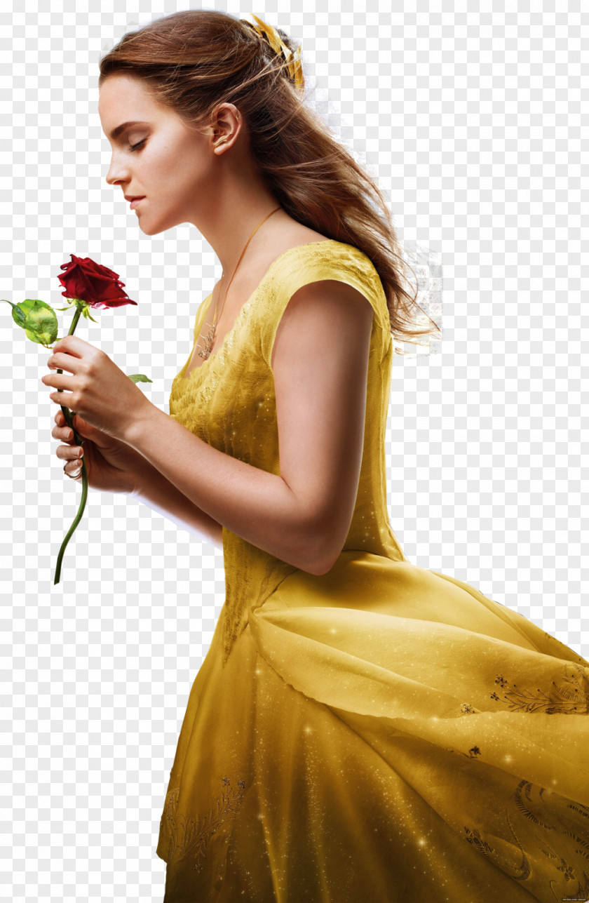 Beauty And The Beast Belle Emma Watson Live Action PNG