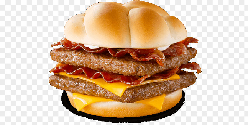 Bison Meat Hamburger Baconator Whopper Fast Food PNG
