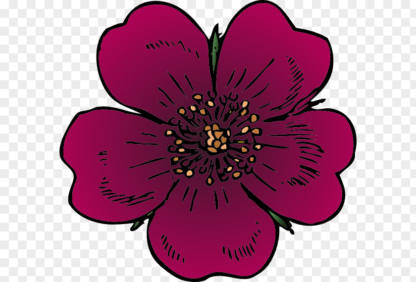 Flower Wildflower Clip Art PNG