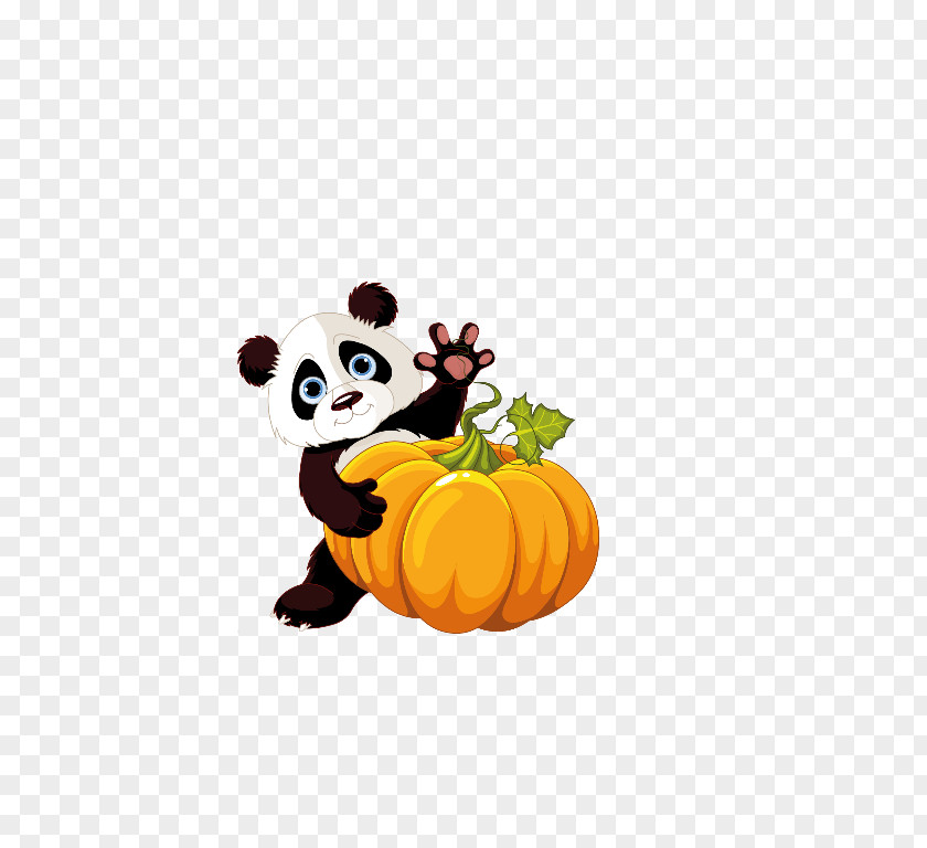Pumpkin Giant Panda Clip Art PNG
