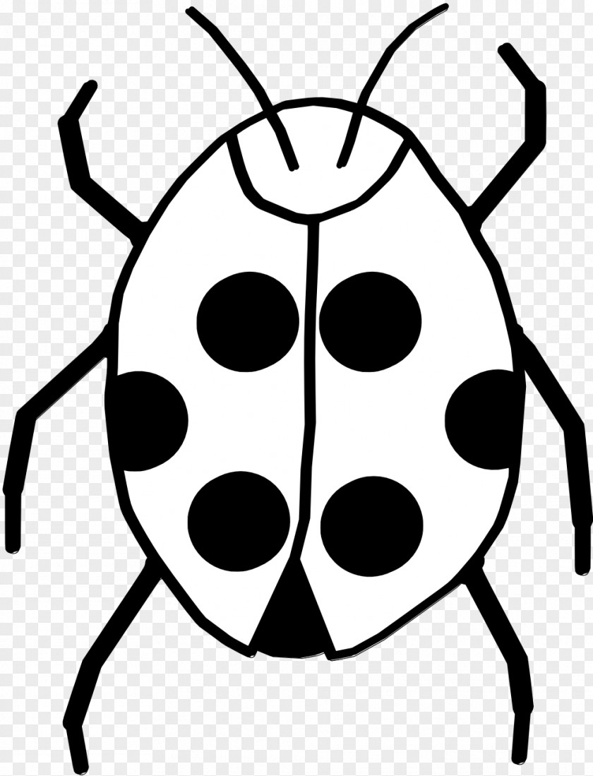 White Flower Clipart Black And Insect Ladybird Clip Art PNG