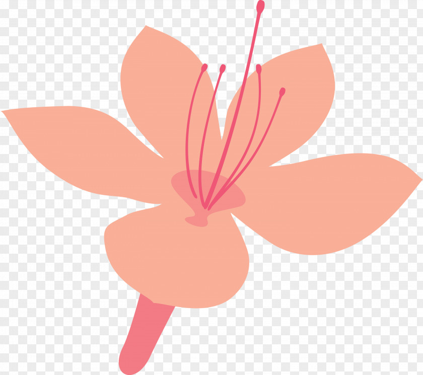 Azalea Spring Flower PNG