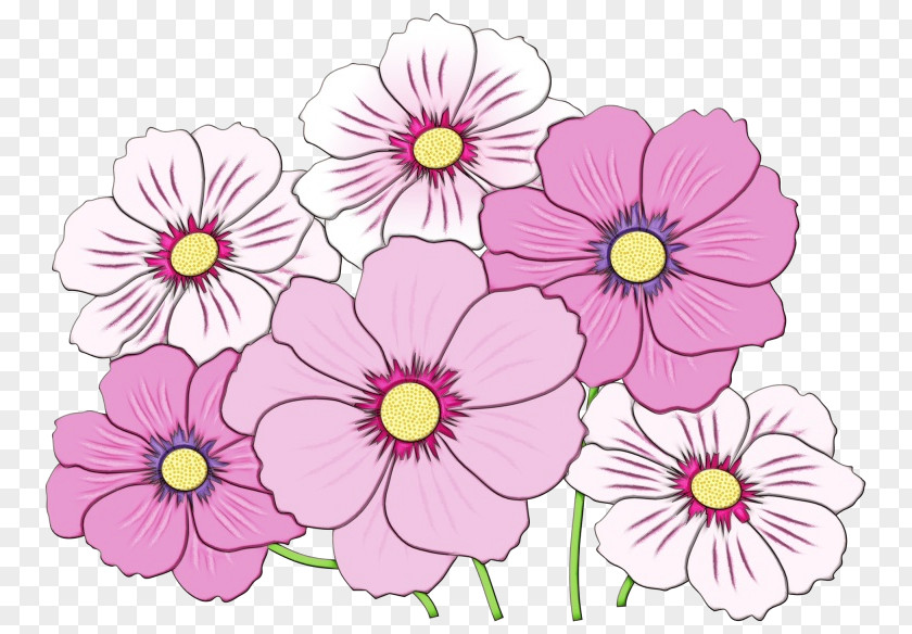 Floral Design Pansy Primrose Pink M PNG