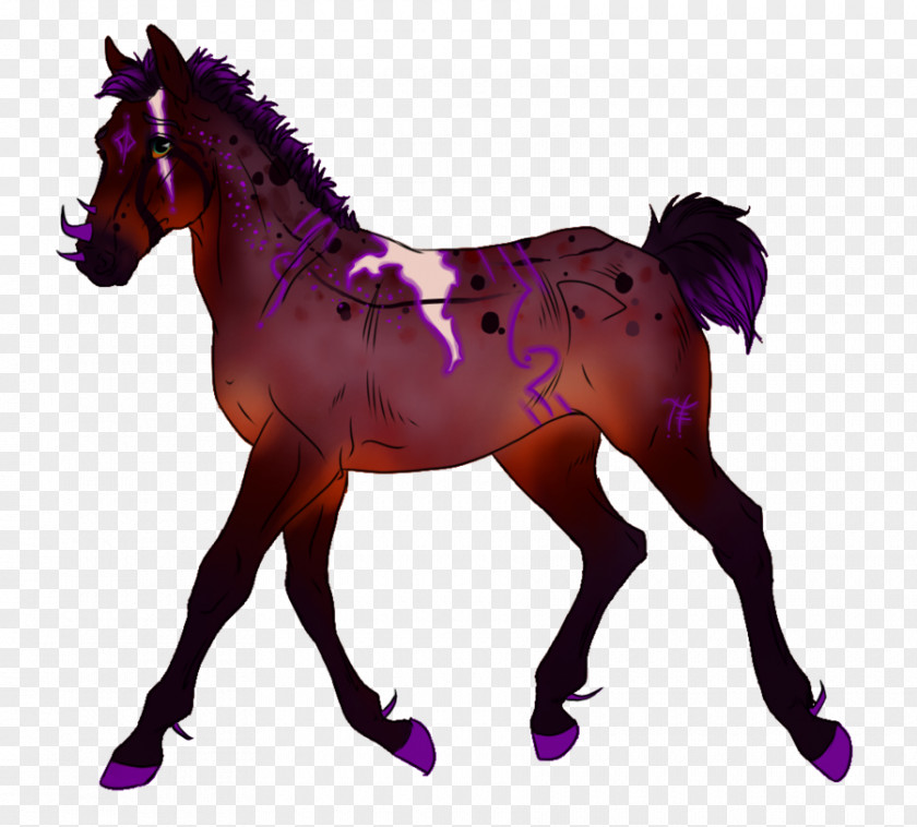 Mustang Mare Foal Stallion Mane PNG