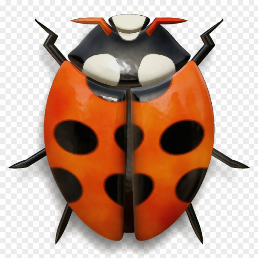 Orange PNG