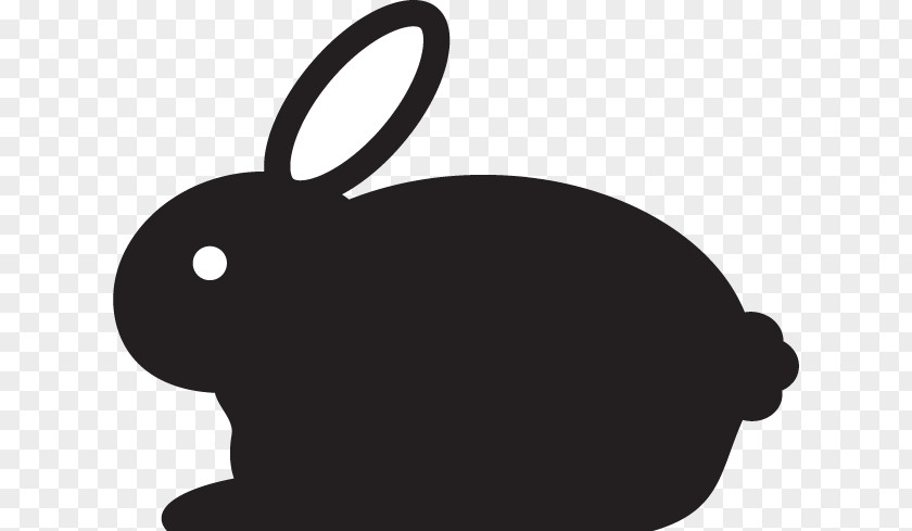 Rabbit Domestic Hare Easter Bunny Image PNG