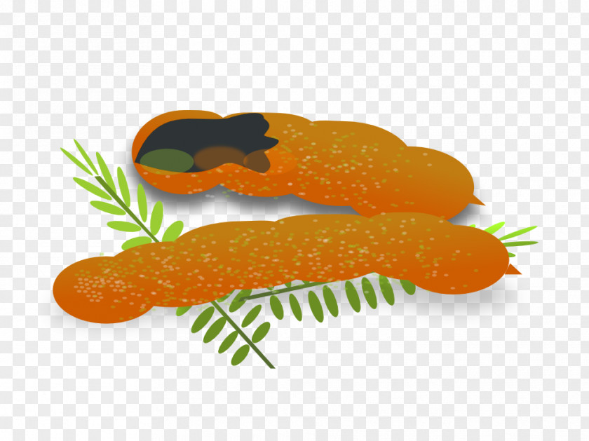 Tamarindo Tamarind Fruit Clip Art PNG