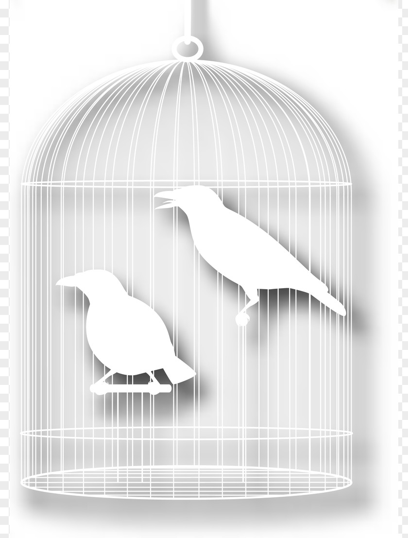 Bird Cage Cartoon Silhouette PNG