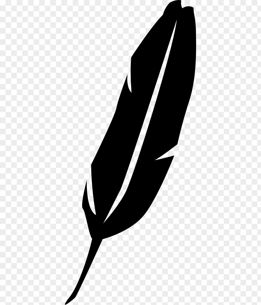 Bird Feather Shape Clip Art PNG