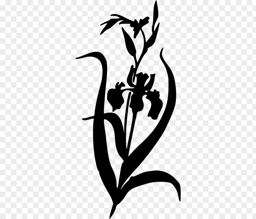 Free Flower Silhouette Irises Clip Art PNG