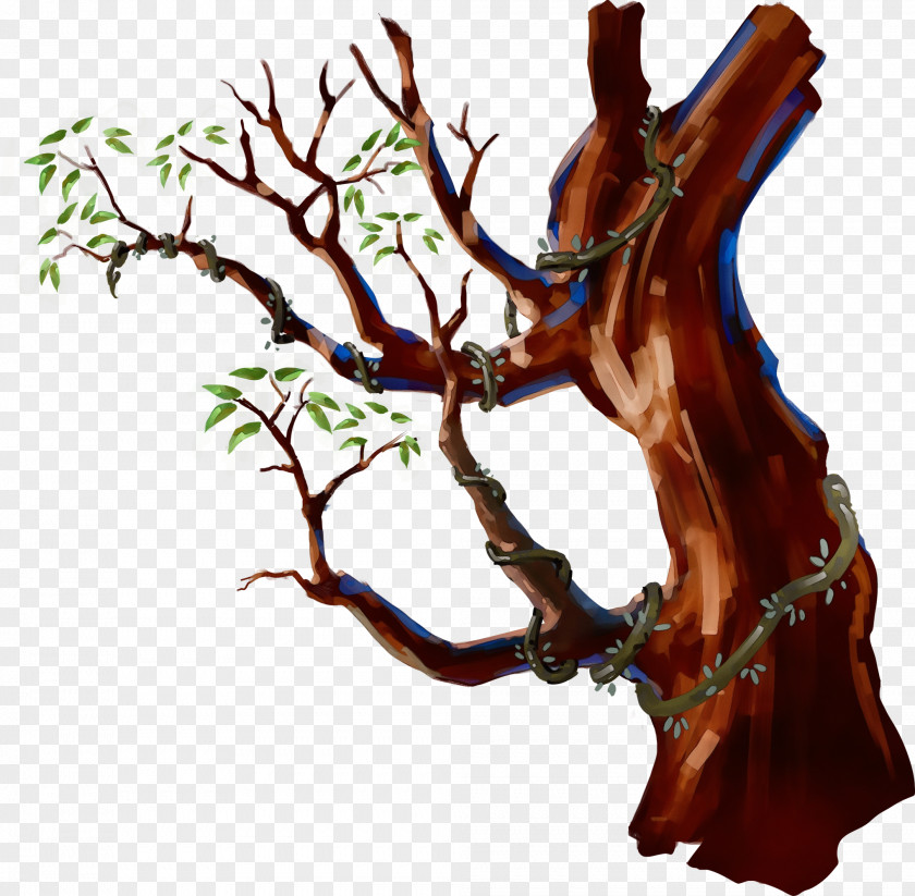 Root Plant Stem Branch Tree Woody Twig PNG