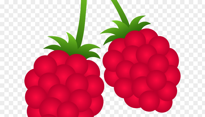 Berries Clip Art Raspberry Fruit Blackberry PNG