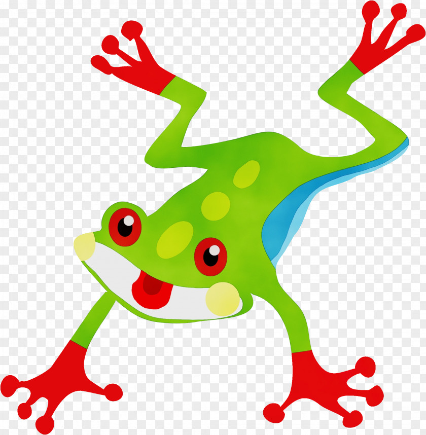 Hyla True Frog Agalychnis Tree Clip Art PNG