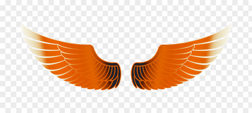 Orange Wings Free Angel Wing PNG