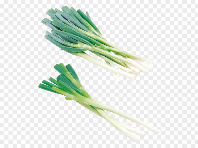 Vegetable Cong You Bing Welsh Onion Vegetarian Cuisine Scallion Shallots PNG