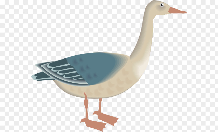 Goose Bird Clip Art PNG