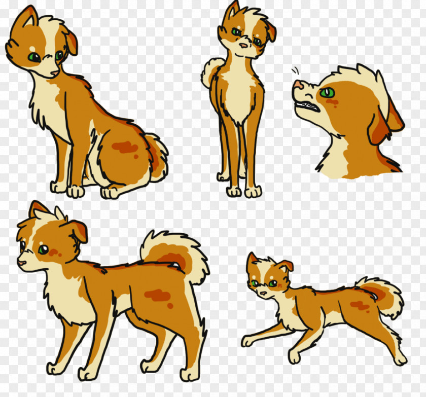Puppy Dog Breed Lion Red Fox PNG