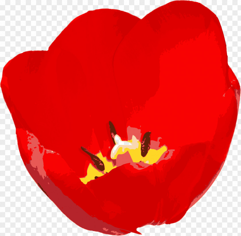 Red Rose Flowering Plant Love Tulip Petal PNG