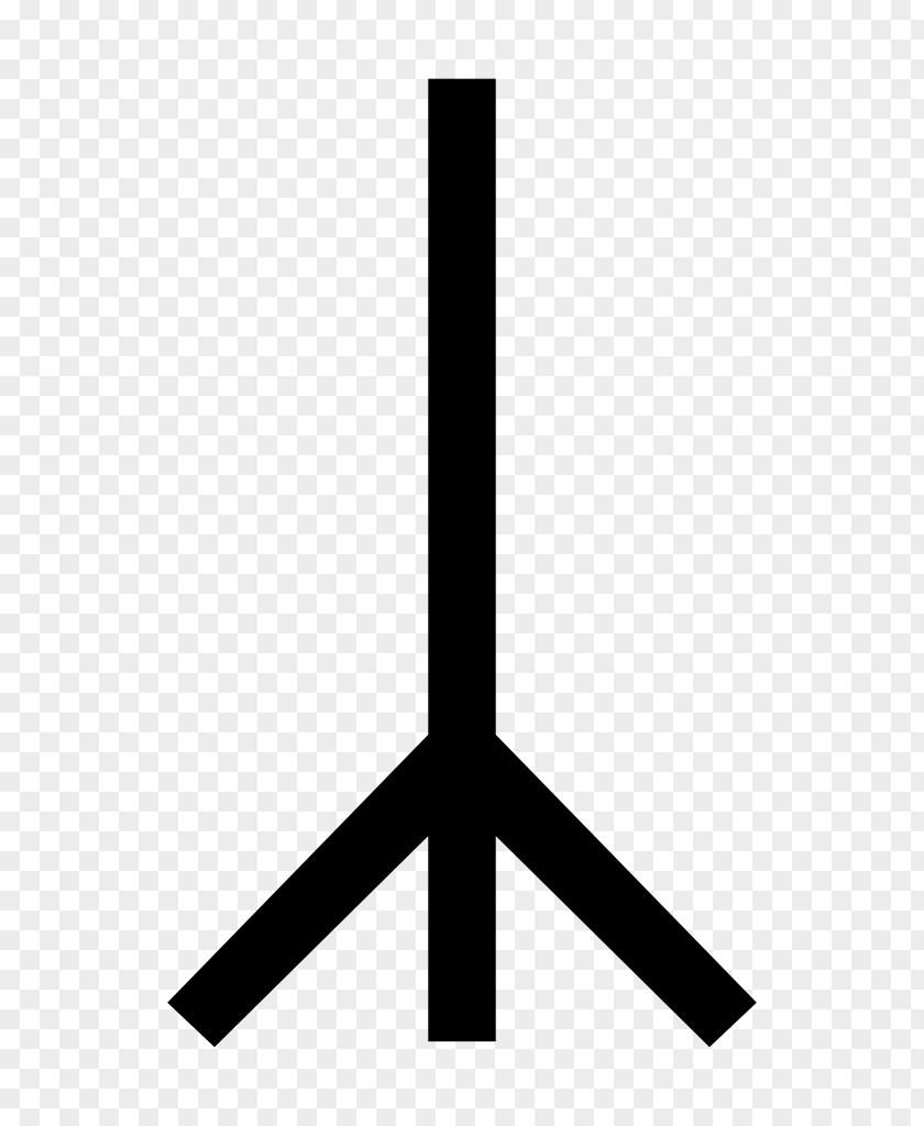 Rune Anglo-Saxon Runes Bind Yr Runic Insignia Of The Schutzstaffel PNG