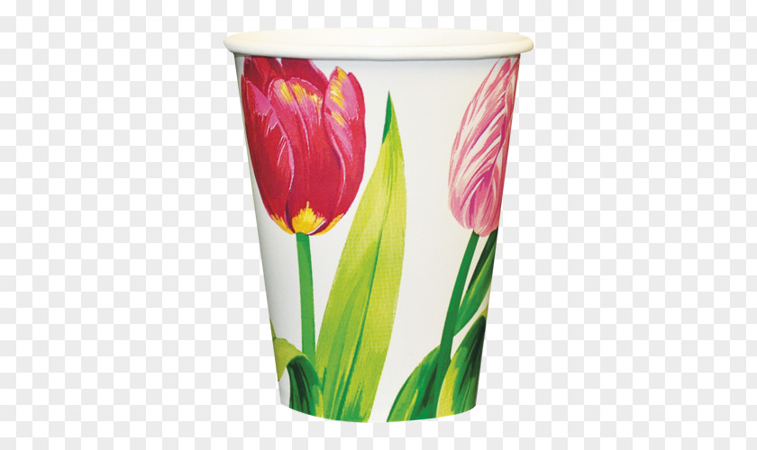 Tulip Paper Cup Cut Flowers PNG