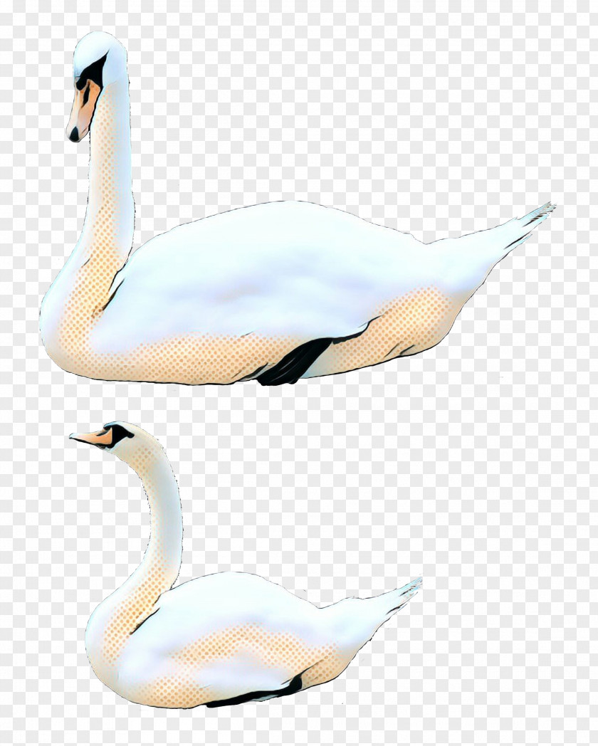 Wildlife Tundra Swan Vintage Background PNG