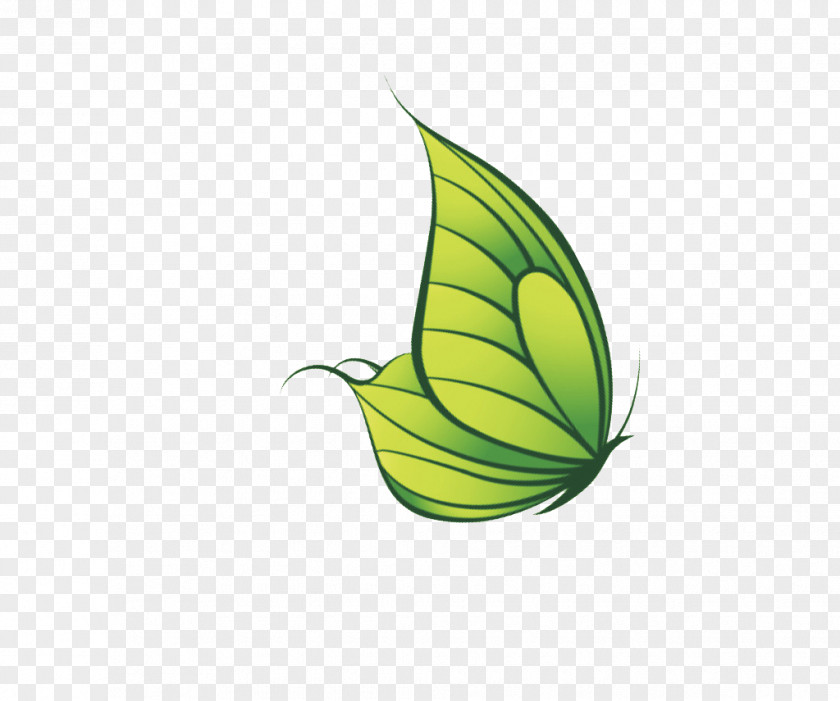 Butterfly Green PNG