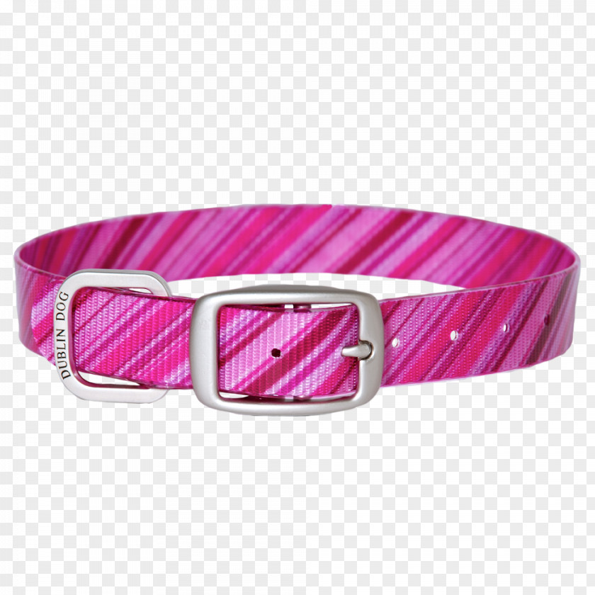 Dog Collar Pink-collar Worker Blue-collar PNG