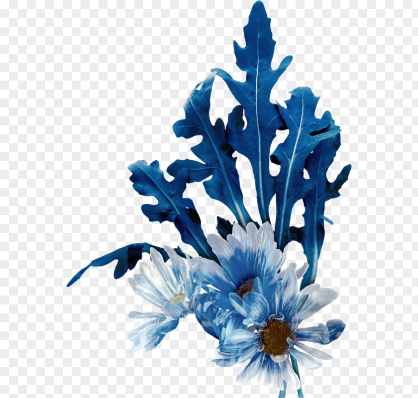 Flower Arugula Cut Flowers Blue Floral Design PNG