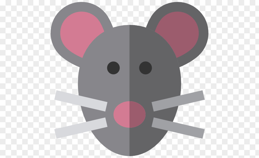 Mouse Animal Rodent Rat PNG