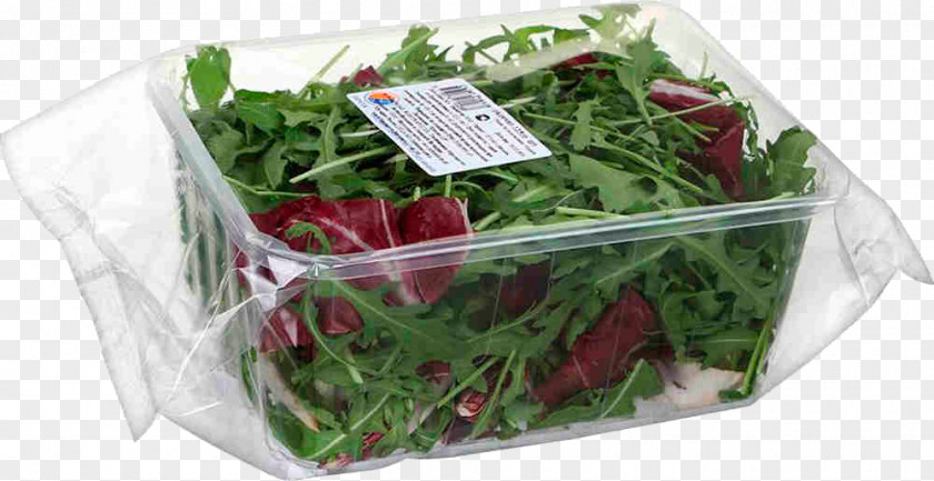 Salad Herb Price Artikel Arugula PNG