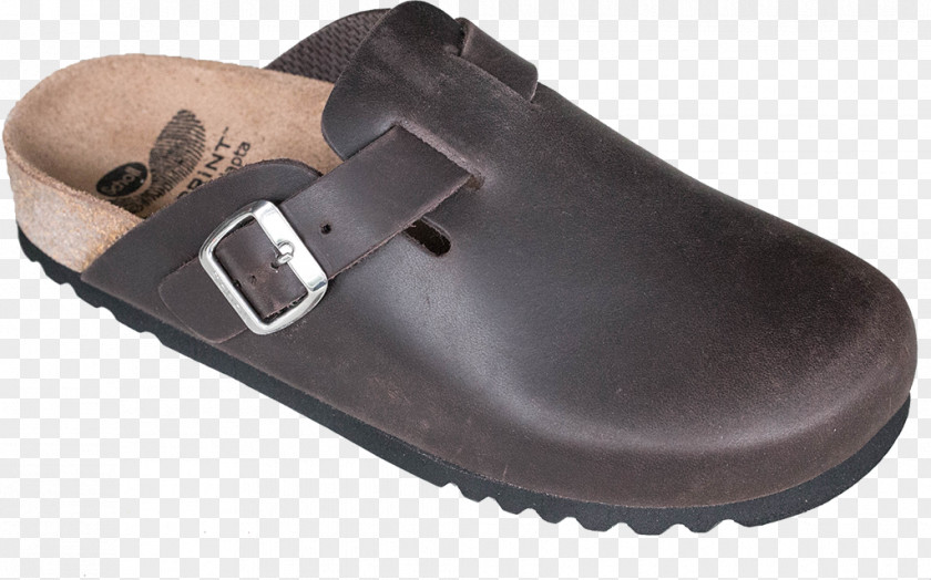 Scholl Shoe Clog Dr. Scholl's Clothing Sandal PNG