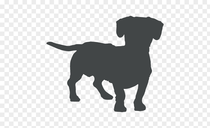 Cao Pug Dachshund Clip Art Image PNG