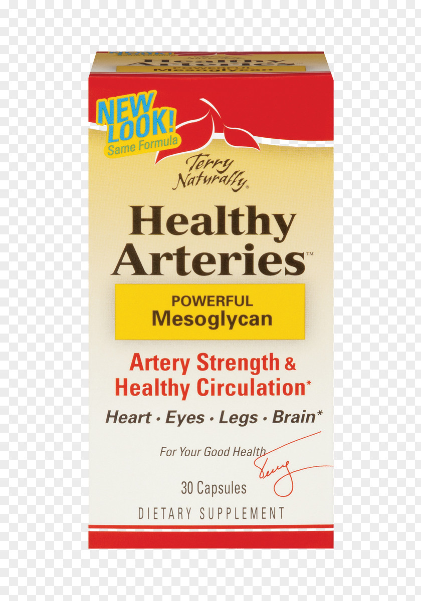 Health Dietary Supplement Artery Circulatory System Nutrition PNG