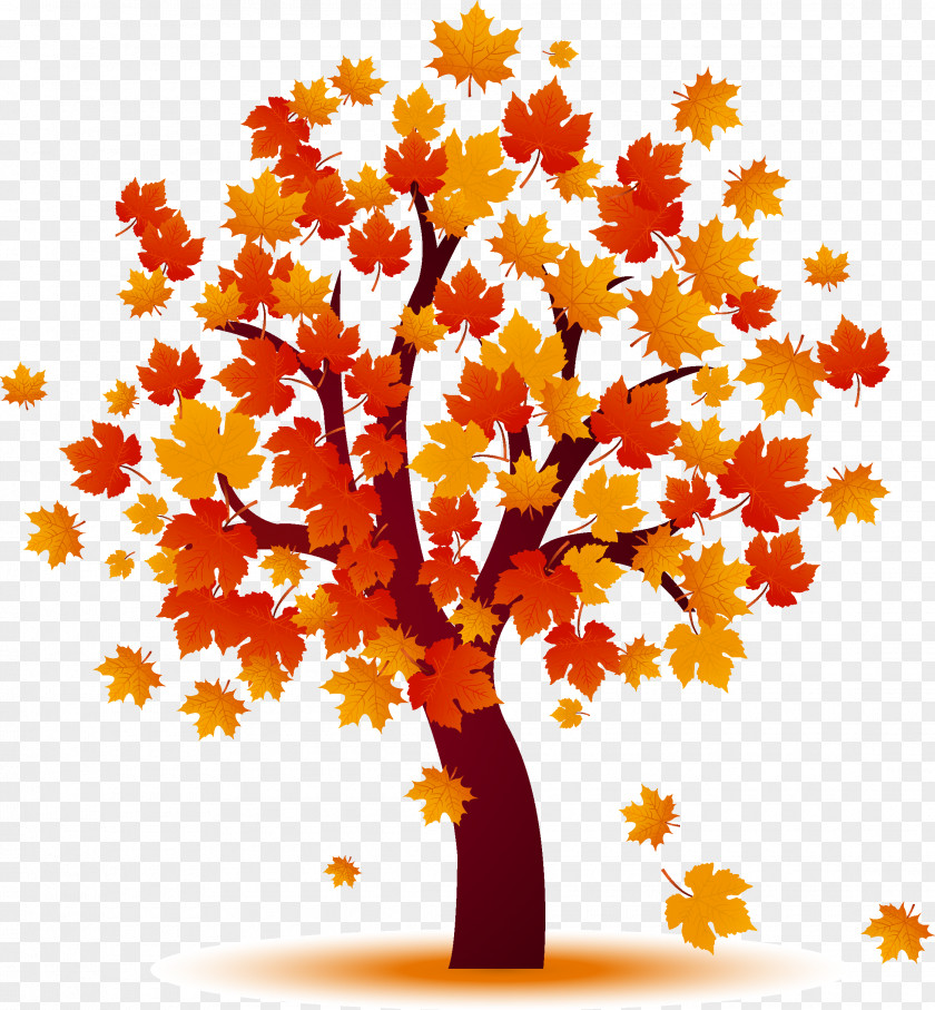 Maple Autumn Tree Clip Art PNG