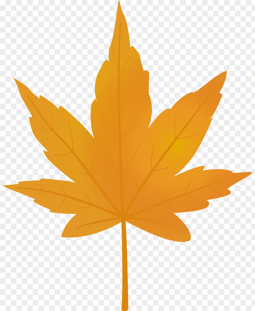 Maple Yellow Leaf Autumn PNG