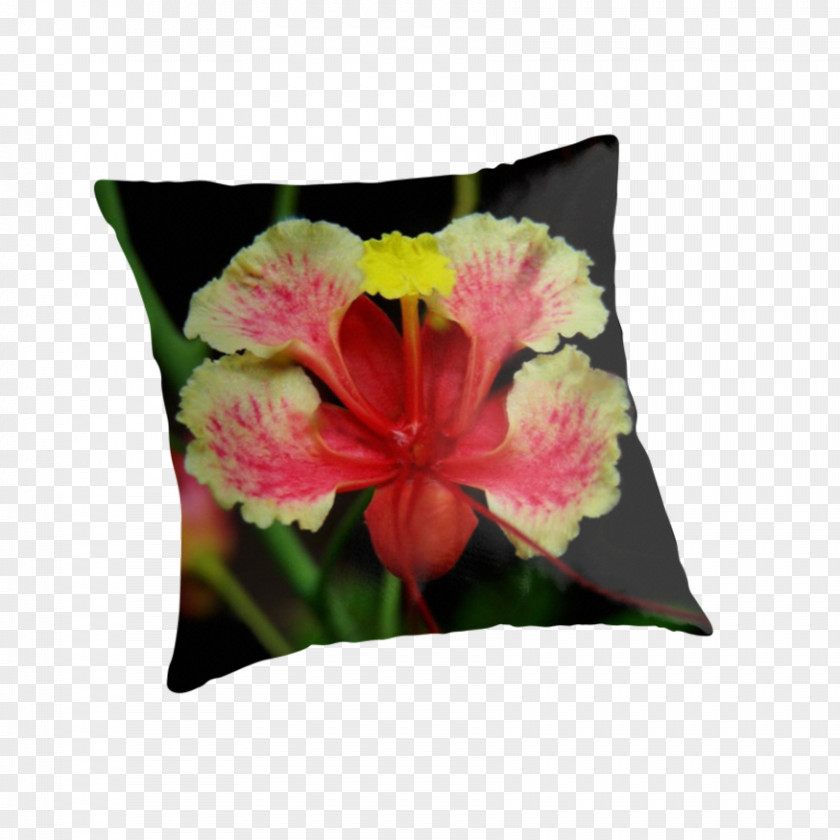 Peacock Flower Throw Pillows Mallows Hibiscus Cushion PNG