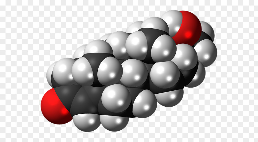 Dmt The Spirit Molecule Cortisol Steroid Hormone 20-Hydroxyecdysone PNG