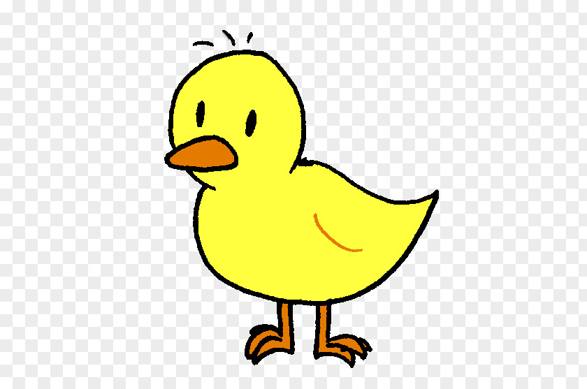 Duck Undertale Flowey Author Bird PNG