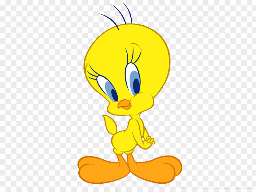 Images Tweety Drawing Looney Tunes Cartoon PNG