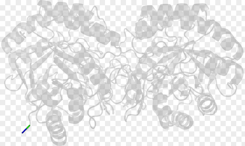 Otoluidine Drawing White /m/02csf PNG