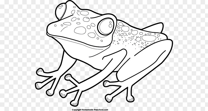 Rainbow Frog On Lily Pad And Toad Are Friends Clip Art The Coloring Book PNG