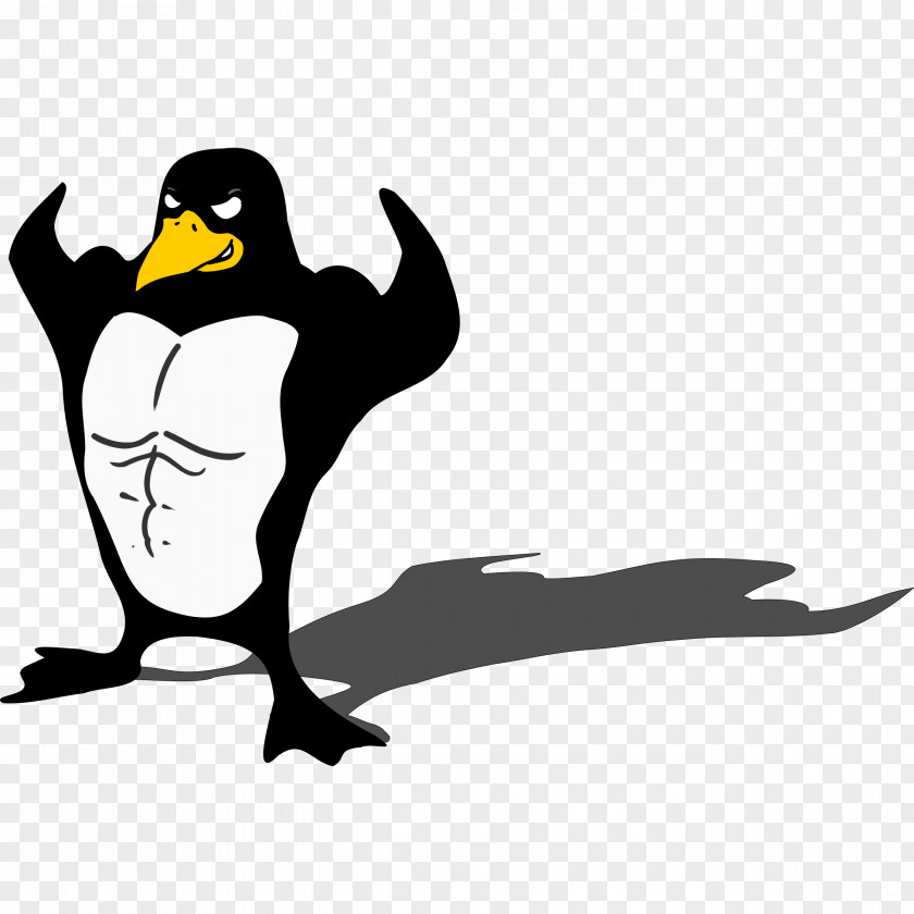 Strong Penguin Muscle Biceps Arm Clip Art PNG